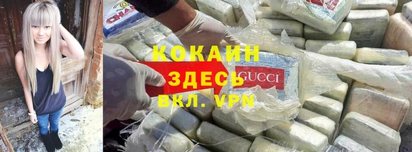 каннабис Корсаков
