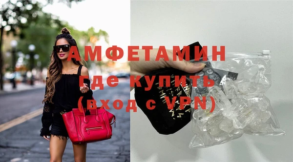 стаф Березники